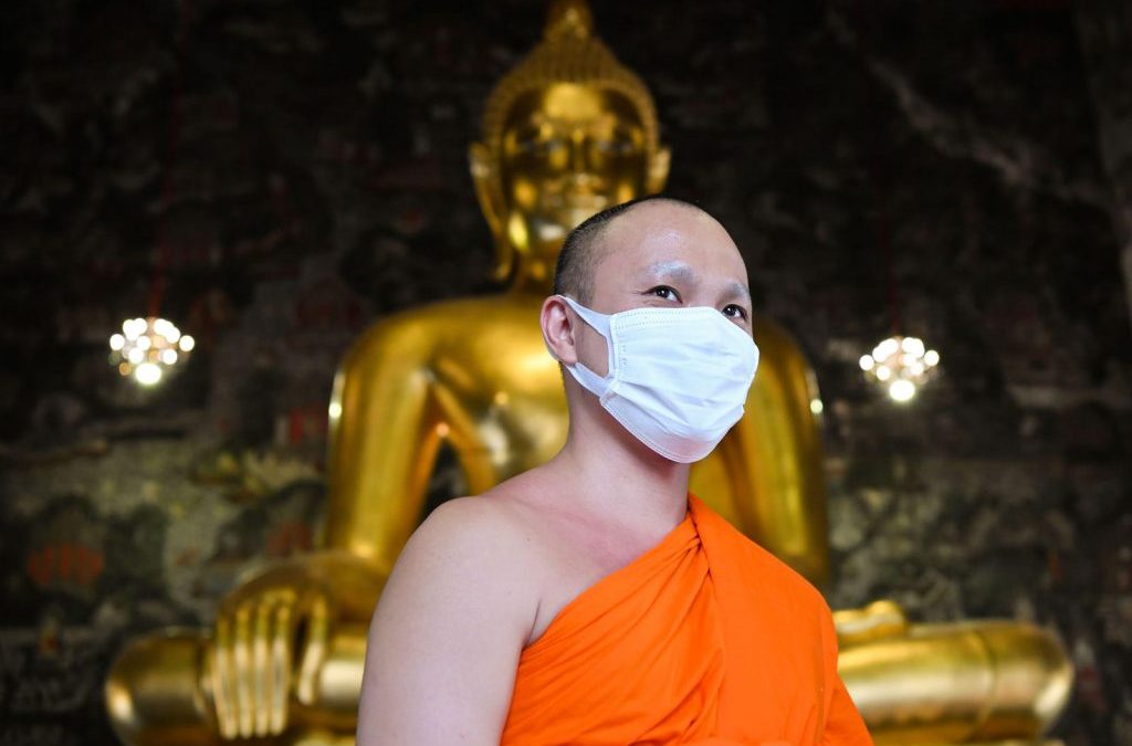 buddha buzz thai monks